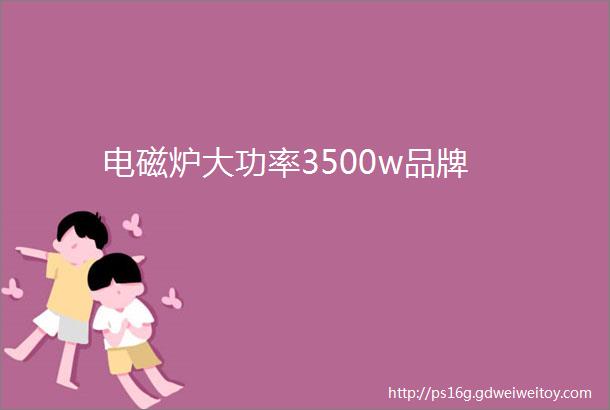 电磁炉大功率3500w品牌